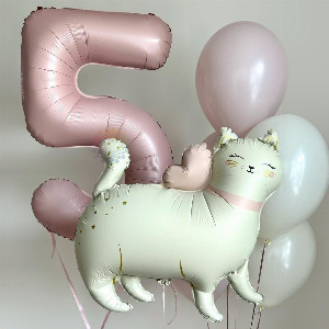 Cat dreams with delivery Novosibirsk