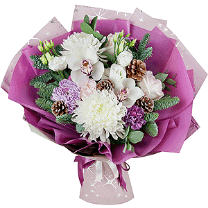 Starfall with delivery Novosibirsk