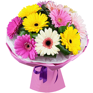 Playful gerberas with delivery Novosibirsk