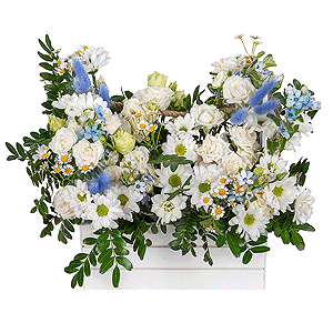 Композиция "Синеглазка" с доставкой в Новосибирске