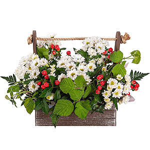 Strawberry Delight with delivery Novosibirsk