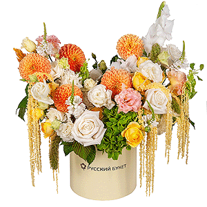 Golden-Crowned  Russia with delivery Novosibirsk