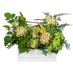 Green Hydrangea - 1, Rose Veggie 50 cm - 7, Green carnation - 10, Green Cymbidium Orchid Bud - 1, Wooden pot, Oasis, Asparagus setaceus (1 pc.), Pistachio, Sedum, Flask for orchids,  Raspberry branch