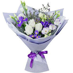 Sapphire radiance with delivery Novosibirsk