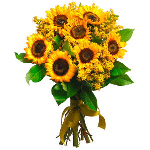 Sun kissed with delivery Novosibirsk