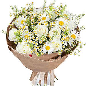 Summer holidays with delivery Novosibirsk