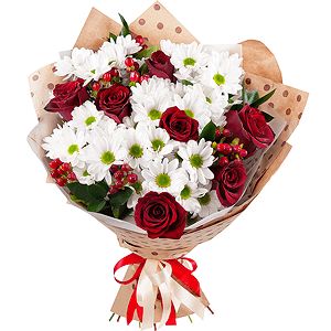 Shady Lady with delivery Novosibirsk