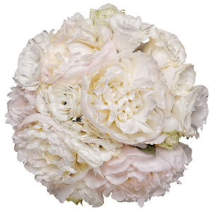 Peony white - 7, lisianthus - 6, Ribbon