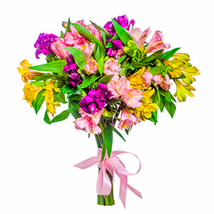 11 Alstroemerias with delivery Novosibirsk