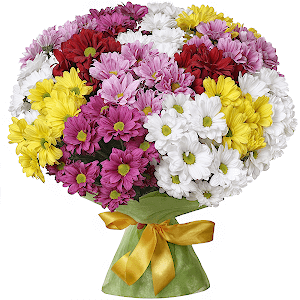 Rainbow with delivery Novosibirsk