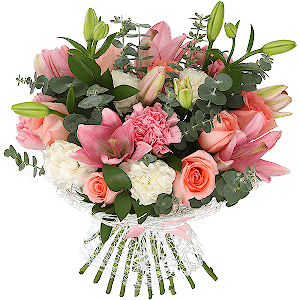 Solo with delivery Novosibirsk