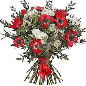 Exotic Anemones with delivery Novosibirsk