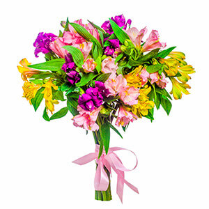 11 Alstroemerias with delivery Novosibirsk