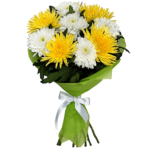 Etude with delivery Novosibirsk