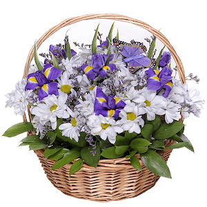 Favourite Plot with delivery Novosibirsk
