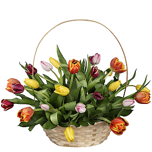 Lorelei with delivery Novosibirsk