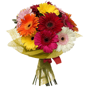 Gerbera daisies - 5, Gerbera yellow - 6, Gerbera red - 6, Gerbera pink - 5, Gerbera white - 5, Felt, Ribbon