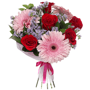 Soft Kiss with delivery Novosibirsk
