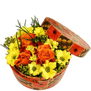 Sun Ray with delivery Novosibirsk