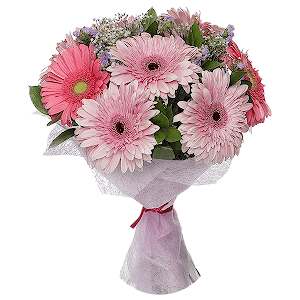 Pink Dream with delivery Novosibirsk