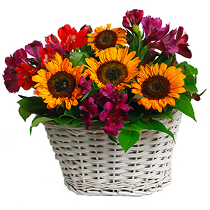 Warm Evening with delivery Novosibirsk