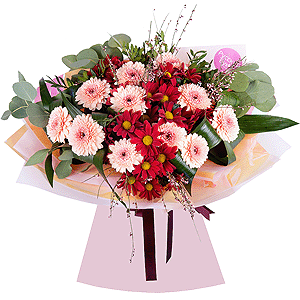 Diva with delivery Novosibirsk