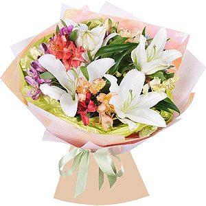 Blooming beauty with delivery Novosibirsk