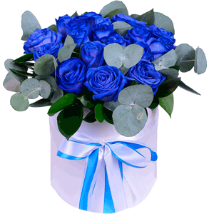 Arrangement of 17 blue roses in a hatbox with delivery Novosibirsk