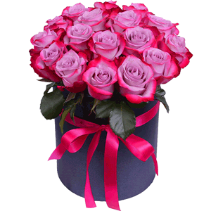 Violet roses with delivery Novosibirsk