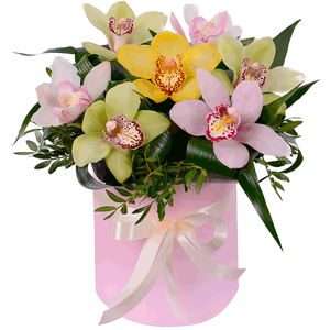 White Cymbidium Orchid Bud - 4, Orchid bud yellow/brown Cymbidium - 2, Green Cymbidium Orchid Bud - 3, Round flower box small , Oasis, Aspidistra (1 pc.), Pistachio, Ribbon, Flask for orchids