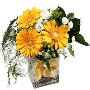 Imagination with delivery Novosibirsk