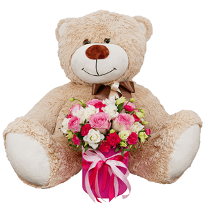 Miss charming with teddy bear with delivery Novosibirsk