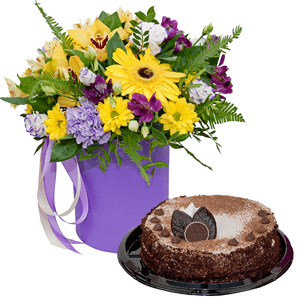 Sunbeams with cake with delivery Novosibirsk