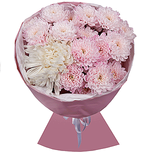 Magical Moments with delivery Novosibirsk