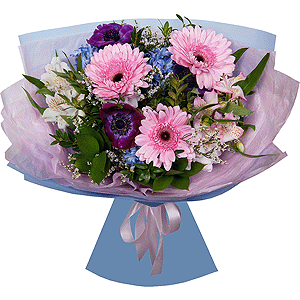 Venus's Gift with delivery Novosibirsk