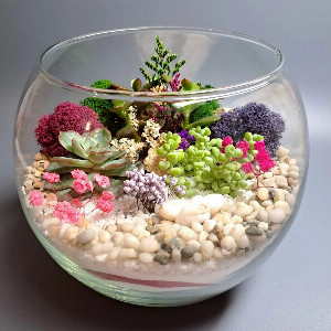"Symphony of Shades" Florarium with delivery Novosibirsk