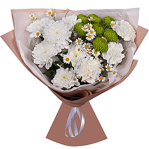 Daisy Carpet with delivery Novosibirsk