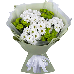 Chrysanthemums Waltz with delivery Novosibirsk