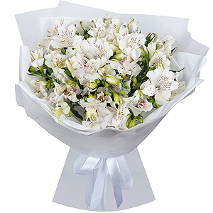 Snow White Dreams with delivery Novosibirsk