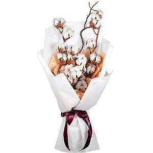 Cotton Bouquet with delivery Novosibirsk