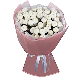 Snowy Wonder with delivery Novosibirsk
