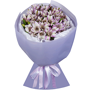 Lilac Dew with delivery Novosibirsk