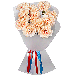 Carnation white, cream - 15, Wrapping Paper