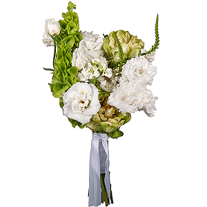 Constellation of Love with delivery Novosibirsk