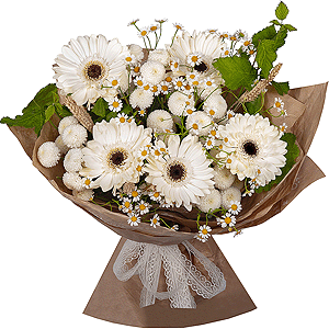 Gerbera white - 9, Chamomile - 3, Newton White Spray Chrysanthemum - 4, Dried flowers in assortment,  Raspberry branch, Wrapping Paper