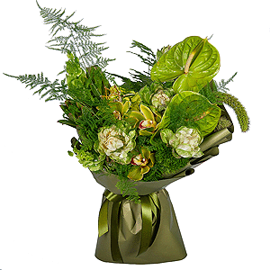 Frog Princess with delivery Novosibirsk