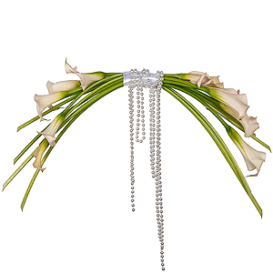 Pearl Harp with delivery Novosibirsk