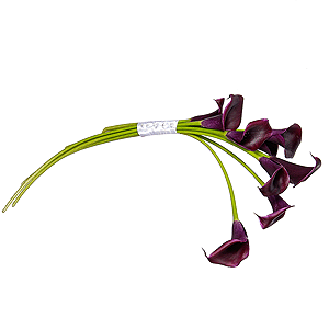 Captivating passion with delivery Novosibirsk