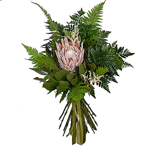 Fern Blossom with delivery Novosibirsk