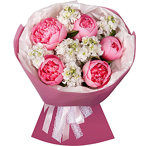 Peony Queen with delivery Novosibirsk
